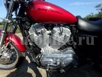     Harley Davidson XL883L-I Sportster883 2012  13